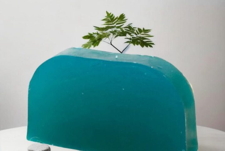 Shampoing solide Arbre à Thé et Menthe Poivrée