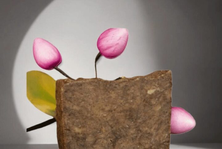 Savon Foléré (Bissap, Hibiscus)