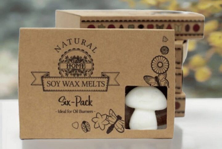 Fondant en cire Soja & Musc blanc