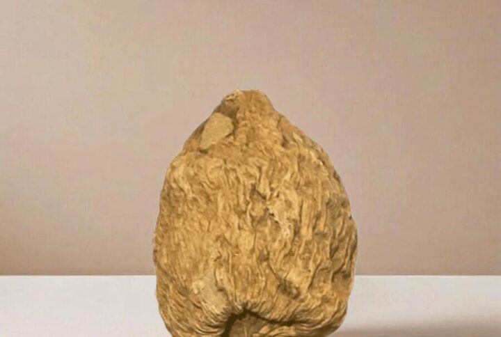 Gousse Piment de Guinée