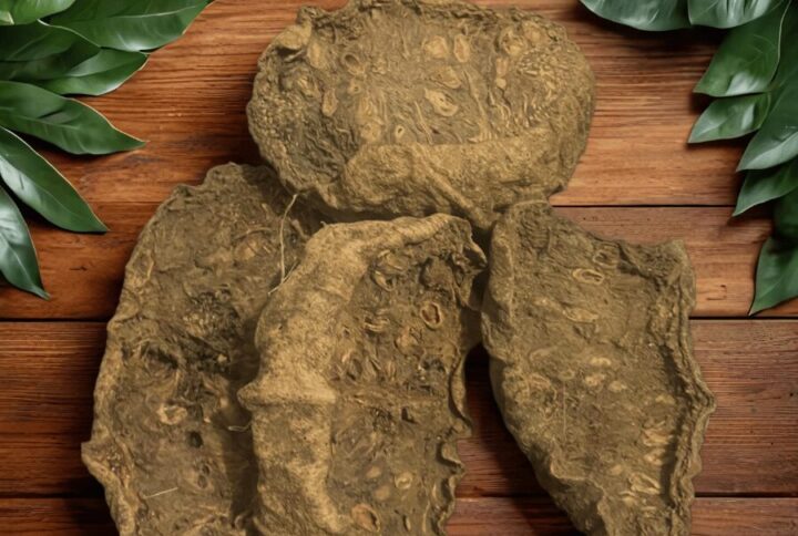 Fruits de Kigelia Séchés