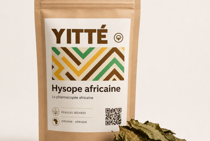 Hysope africaine