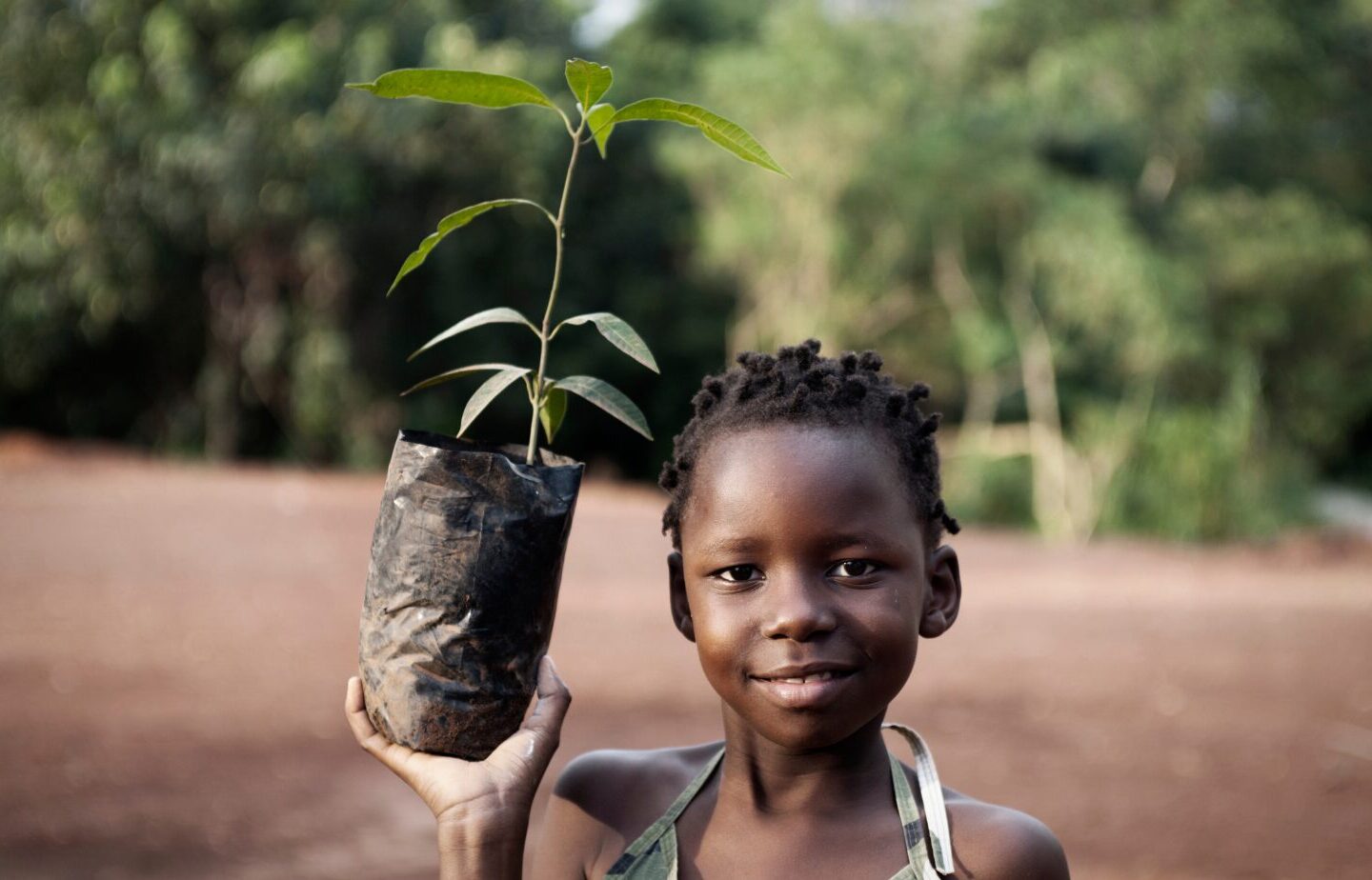 Plantes africaines