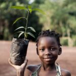 10 Plantes Africaines pour la Santé Féminine