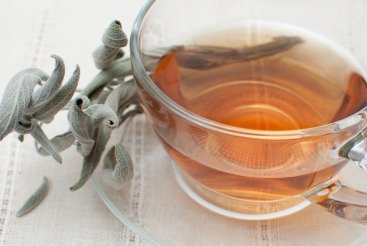Tisane sauge bio