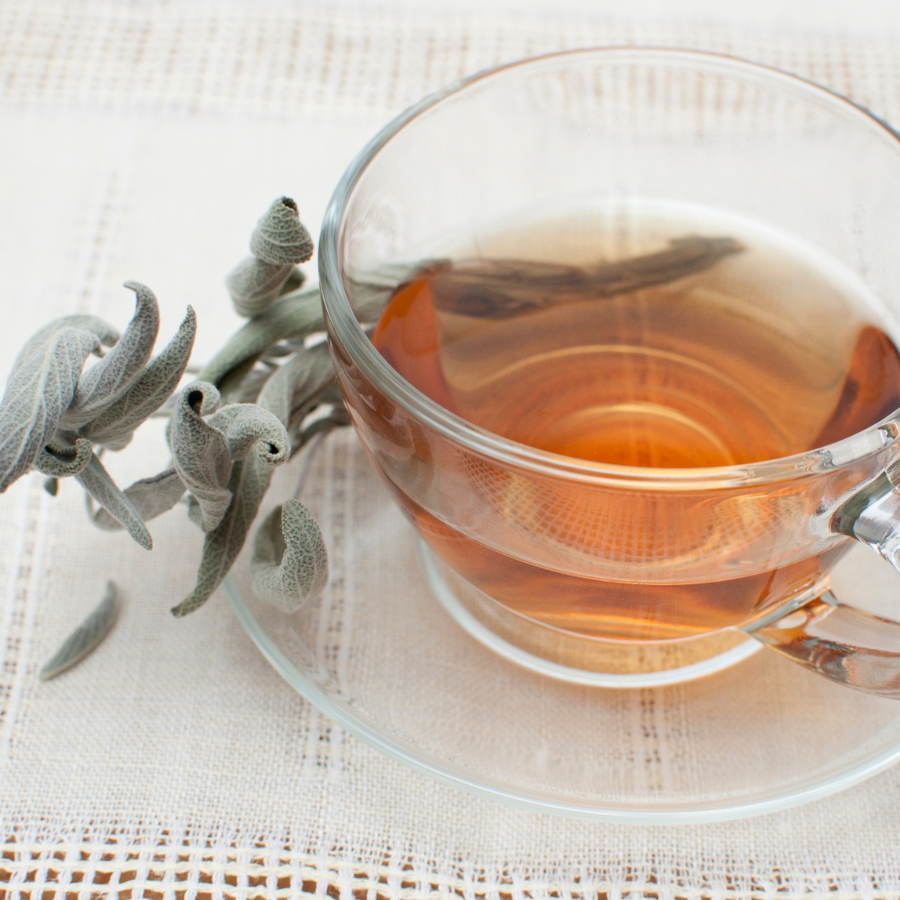 Tisane sauge bio
