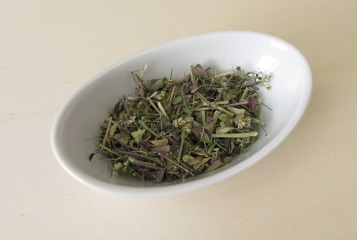 Tisane bourse à pasteur