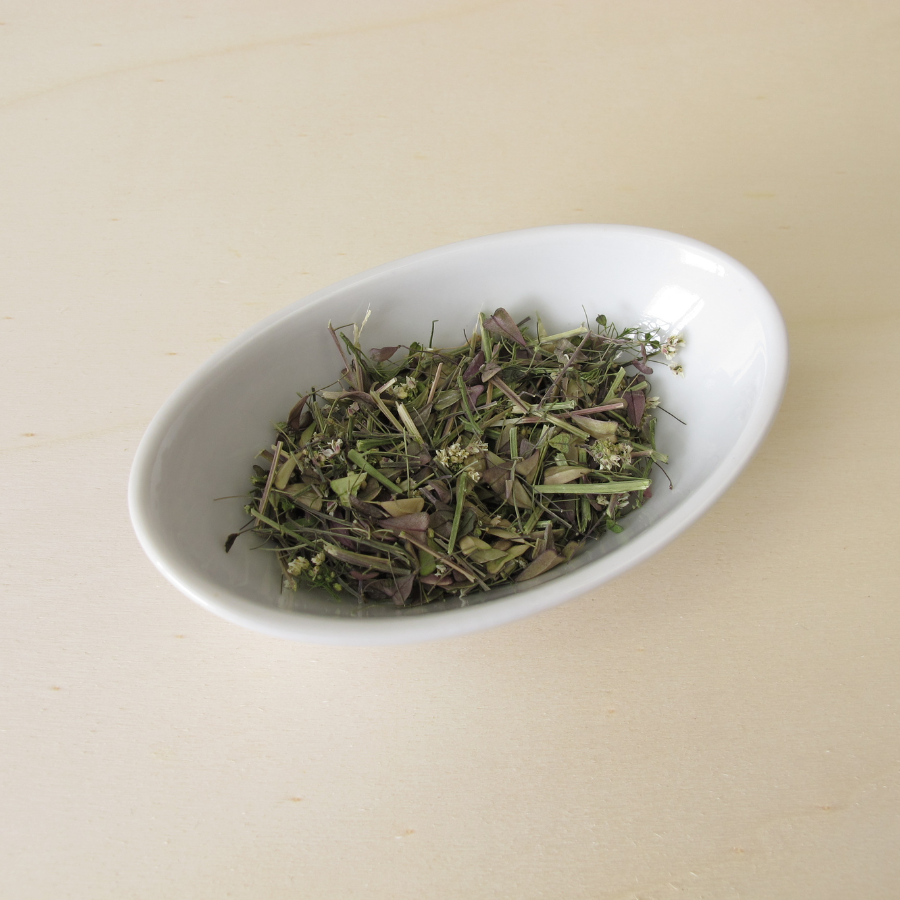 Tisane bourse à pasteur