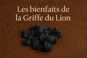 Couverture blog Griffe du Lion