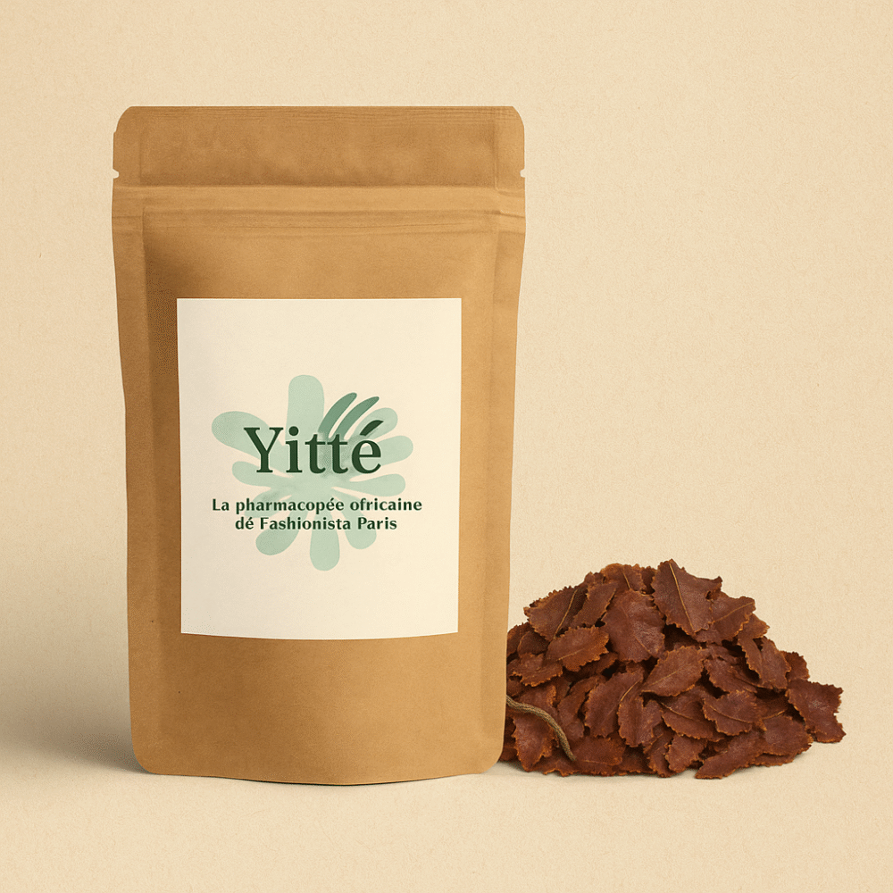 Feuilles de Princesse Ngolobè