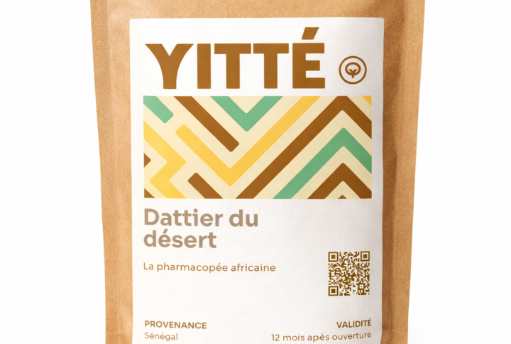 Dattier du désert
