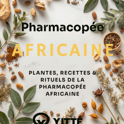 Ebook Plantes recettes & rituels de la pharmacopée africaine